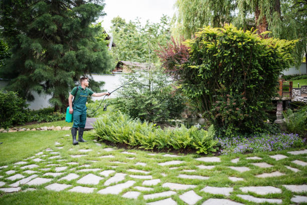 Best Mosquito Control Services  in , AK