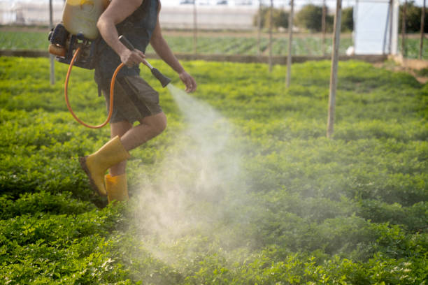 Best Best Pest Control Companies  in , AK